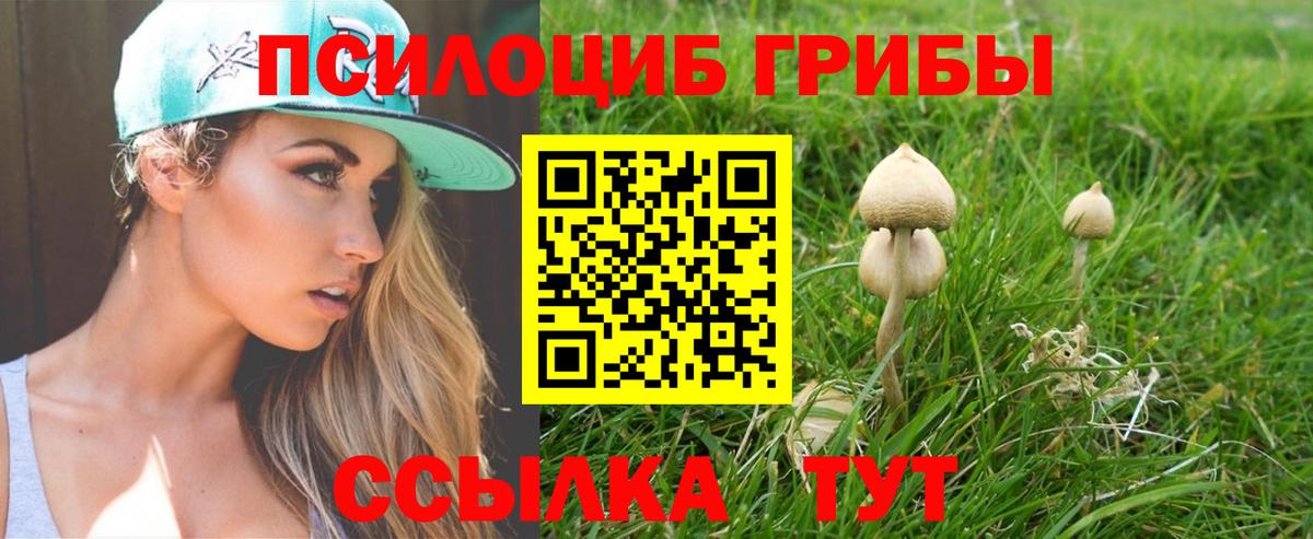 Псилоцибиновые грибы MAGIC MUSHROOMS Кострома